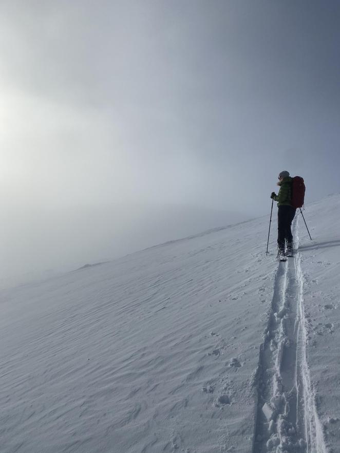 fjällguide på skidor